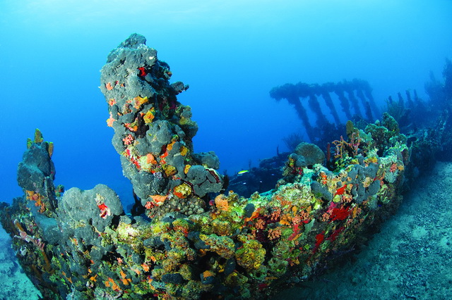 Лучшие места для дайвинга - затонувший корабль Рона вблизи острова Солт