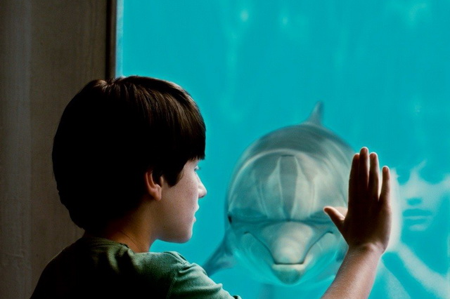 Фильмы про дельфинов - «История дельфина» (2011)