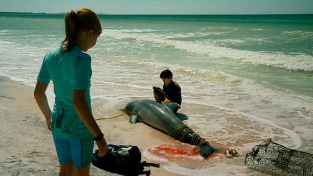 Фильмы про людей и дельфинов - «История дельфина» (2011)