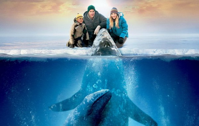 Лучшие фильмы про китов - «Все любят китов» (2012)