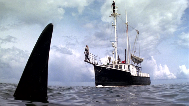 Лучшие фильмы про китов - «Смерть среди айсбергов» (1977)