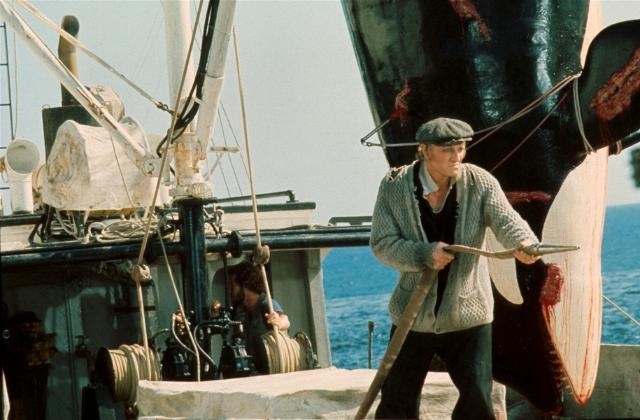 Фильмы про китов - «Смерть среди айсбергов» (1977)