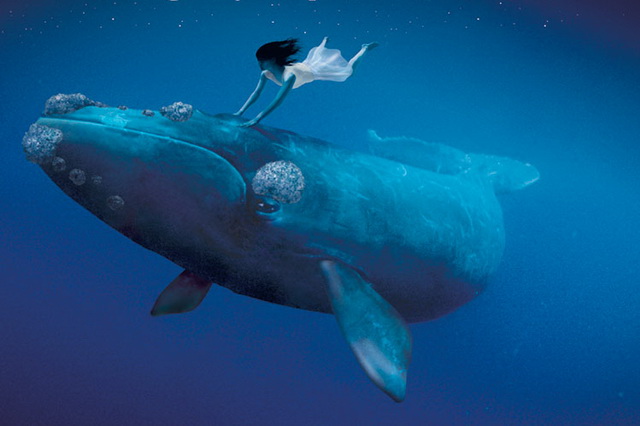 Интересные фильмы о китах - «Оседлавший кита» (2002)