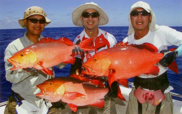 Рыбалка в Австралии - что можно поймать и способы ловли