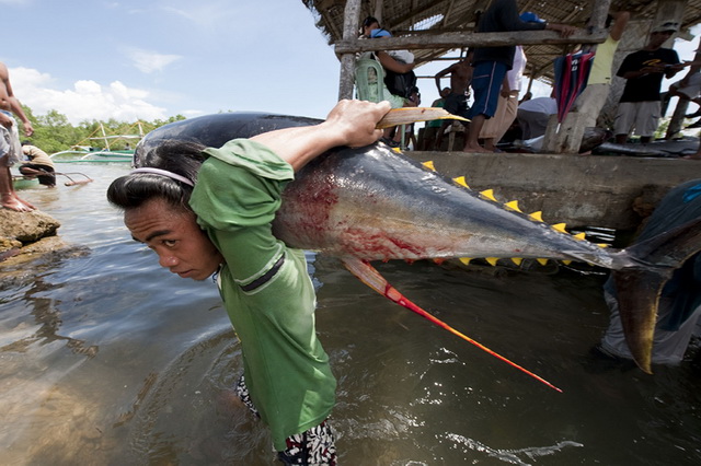 Таиланд - одно из лучших мест для экзотической рыбалки
