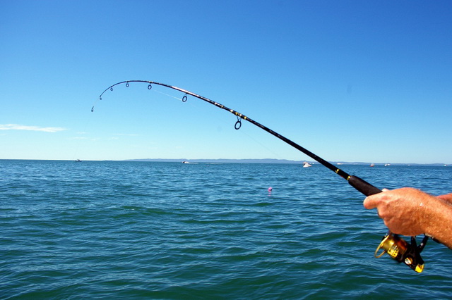 Рыбалка в США - всё, что нужно знать любителям рыбалки
