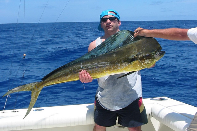 Основные трофеи при рыбалке на острове Маврикий