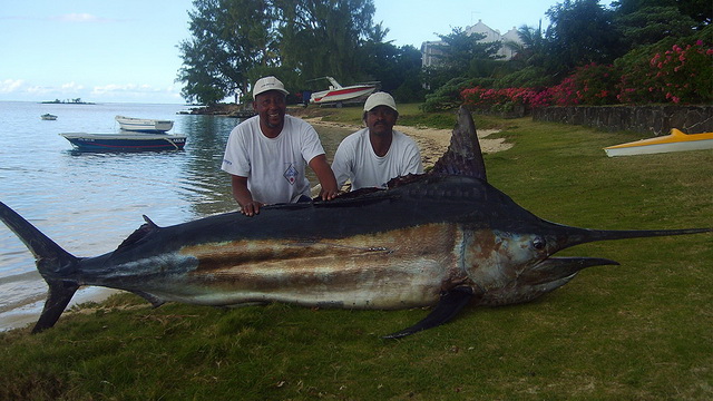 Возможности для рыбалки на Маврикие