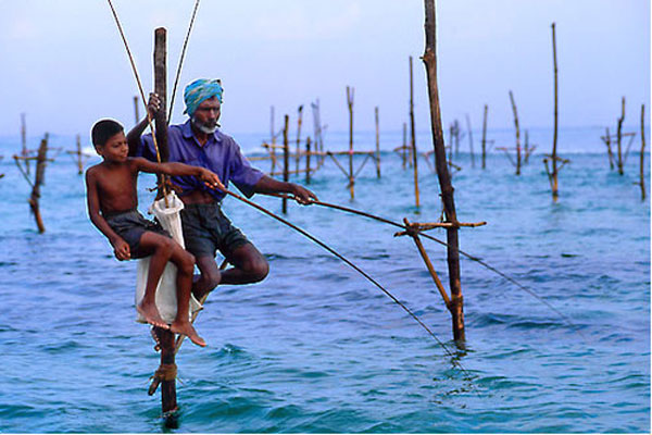 Особенности рыбалки на сваях на Шри-Ланке