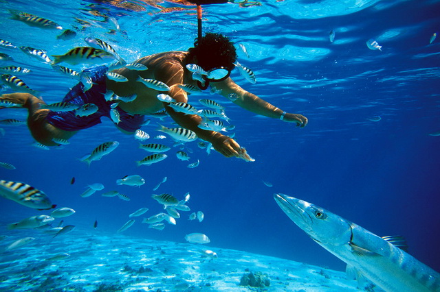 Подводная рыбалка на Таити