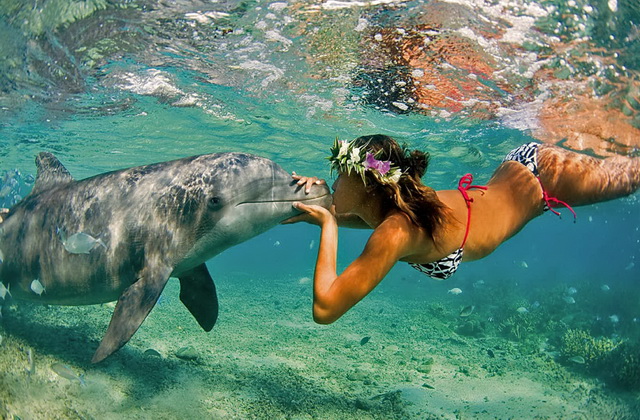 На Бора-Бора популярен дайвинг с дельфинами