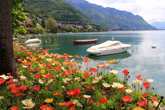 Водный отдых и развлечения на Женевском озере