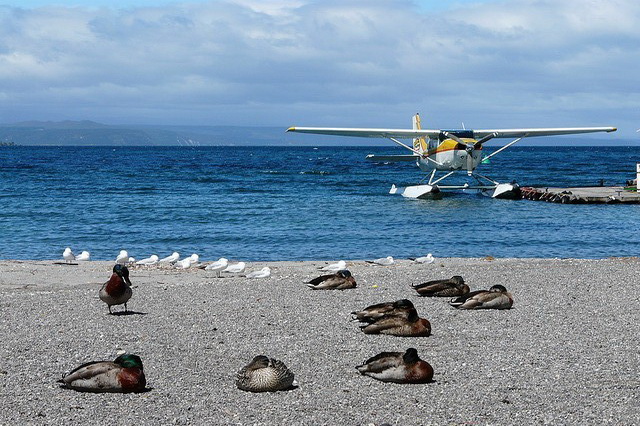 Развлечения на озере Таупо в Новой Зеландии - не только водные, но и воздушные