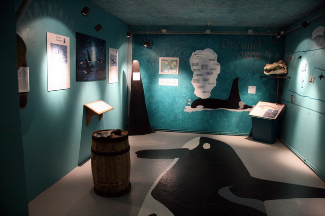 Экспозиции в музее китов в Исландии