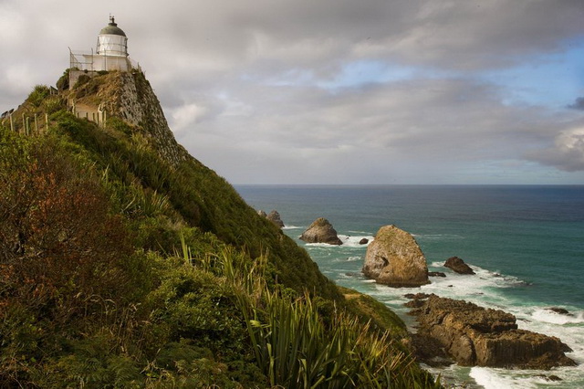 Интересные места Новой Зеландии - маяк Наггет Поинт
