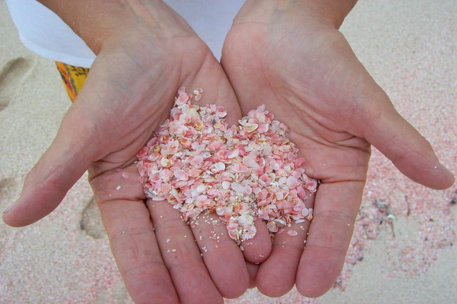 Розовый пляж Харбор на Багамах