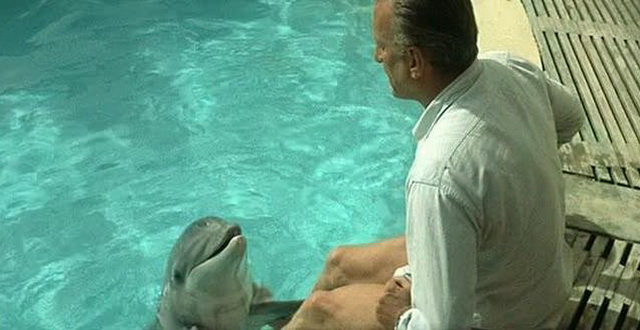 Фильм «День дельфина» (1973)