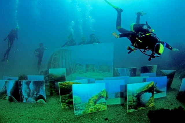 Выставка подводной живописи