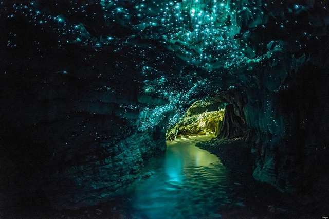 Уникальные пещеры Вайтомо в Новой Зеландии