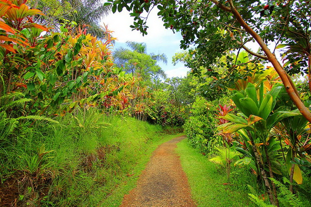 Путешествие к водопадам острова Мауи на Гавайях