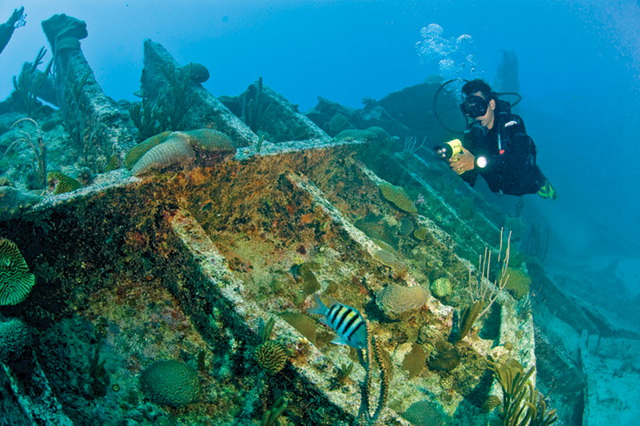 Затонувшие суда станновятся искусственными рифами