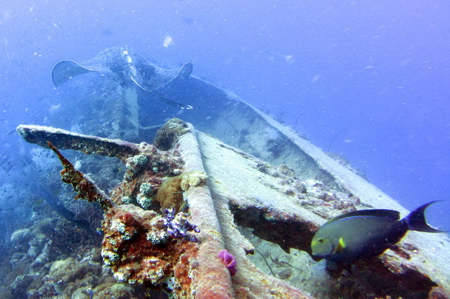Затонувший корабль «Yongala», Австралия
