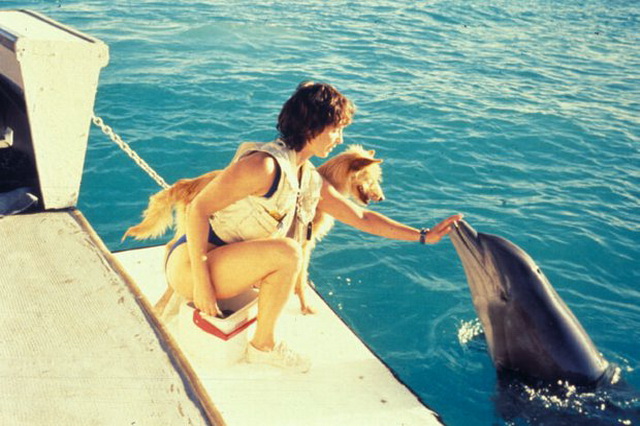 Интересные фильмы про дельфинов - «Зевс и Роксана» (1997)